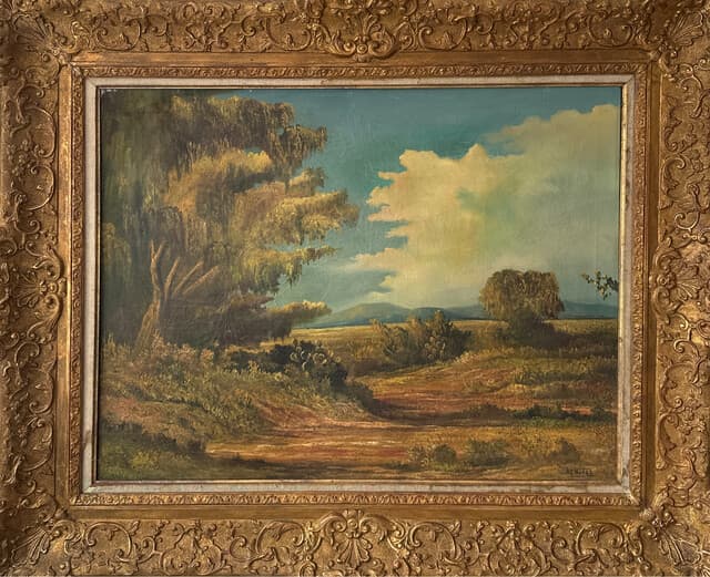 Paisaje de México de Armando Garcia Nuñez
