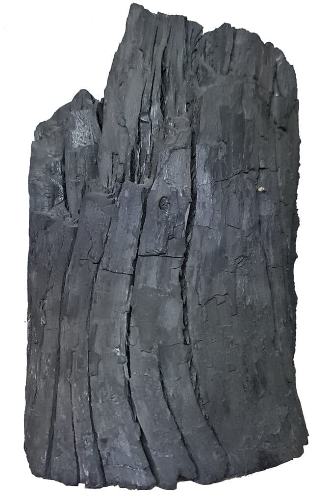 1799 de Beatriz Zamora - Wood and charcoal, 1999