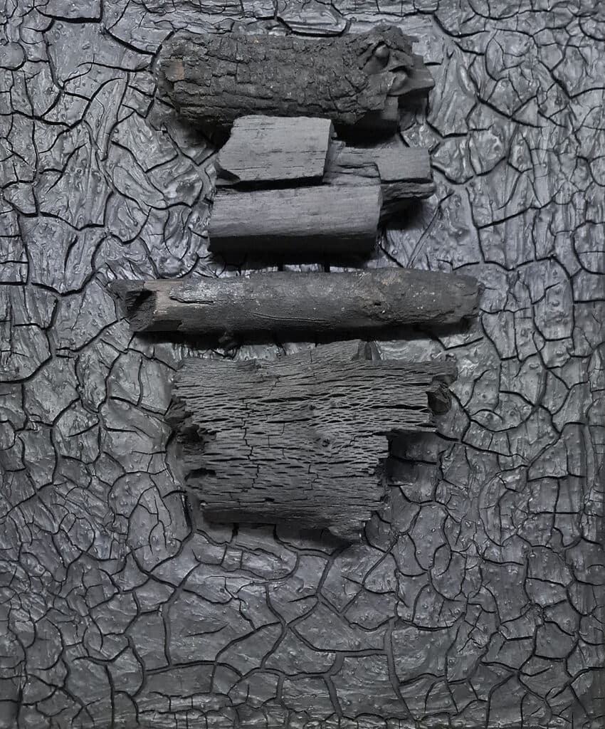 3034 de Beatriz Zamora - Wood and charcoal, 2014