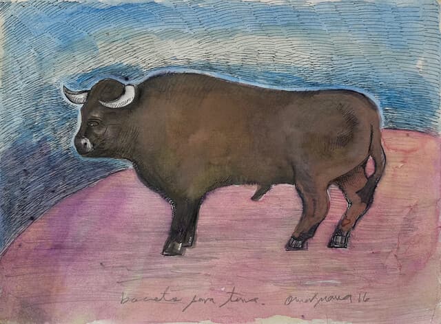 Toro de Omar Nava