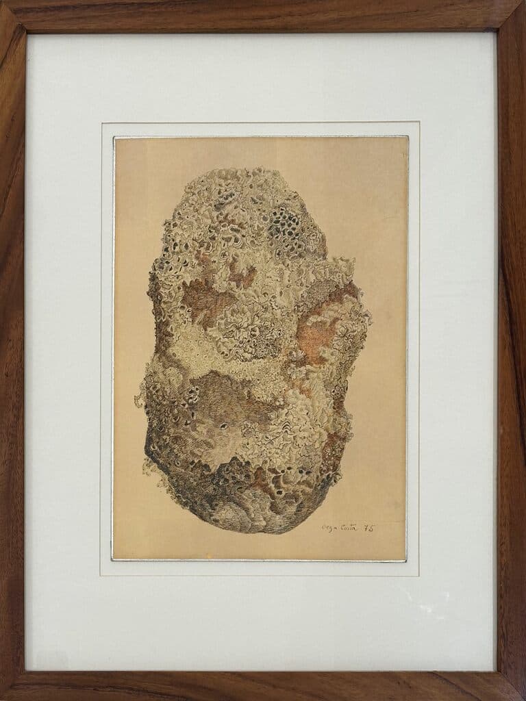 Sin título de Olga Costa - Ink on paper, 1974