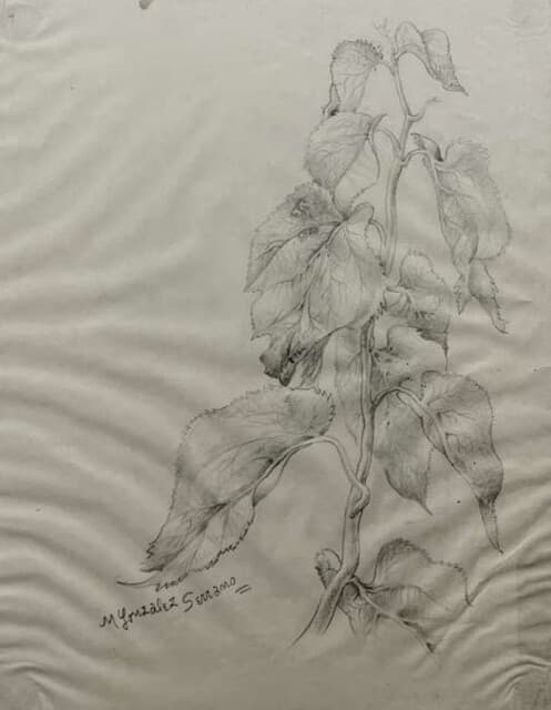 Naturaleza Muerta de Manuel González Serrano