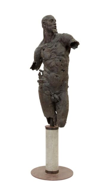 Male torso de Javier Marin