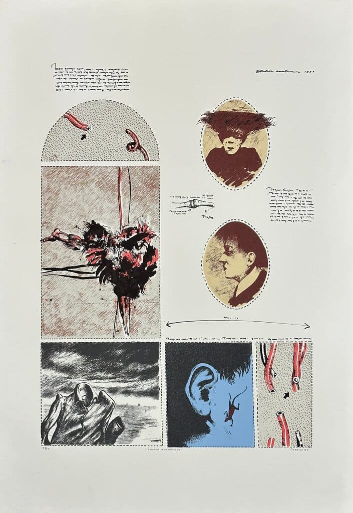 Estudios Anatómicos de Javier Campos Cabello - Silkscreen, 1988